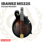 Ibanez Mandolin M522S-DVS Acoustic Guitar - Acoustic Mandolin