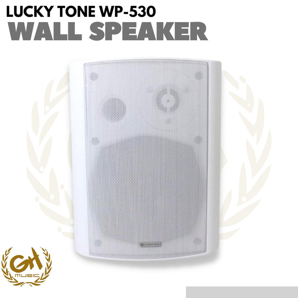 Lucky Tone WP-530 Wall Mounted Pasive Speaker 5 | Speaker gedung cafe