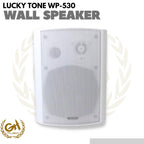 Lucky Tone WP-530 Wall Mounted Pasive Speaker 5 | Speaker gedung cafe