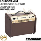 Fishman Loudbox Mini Bluetooth 60W Acoustic Guitar Amplifier UK