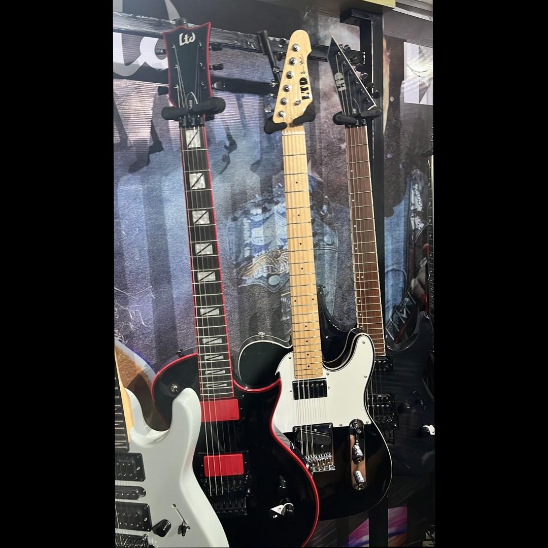ESP LTD GH600 Gary Holt Signature Electric Guitar - Gitar Elektrik