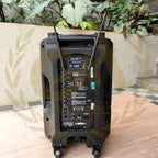 BARETONE BT-3H1212BWR 12" Portable Speaker | Spiker Aktif Mic Wireless