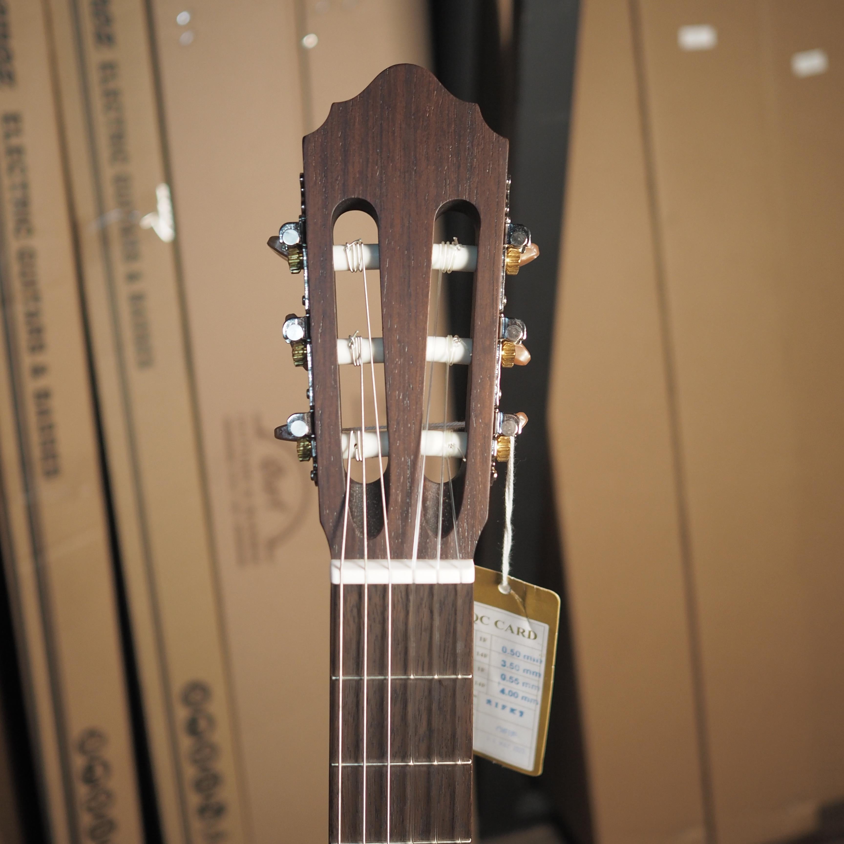 CORT CEC-1 Classic Nylon Acoustic Electric Guitar - Akustik Nilon CEC1 CE-C1
