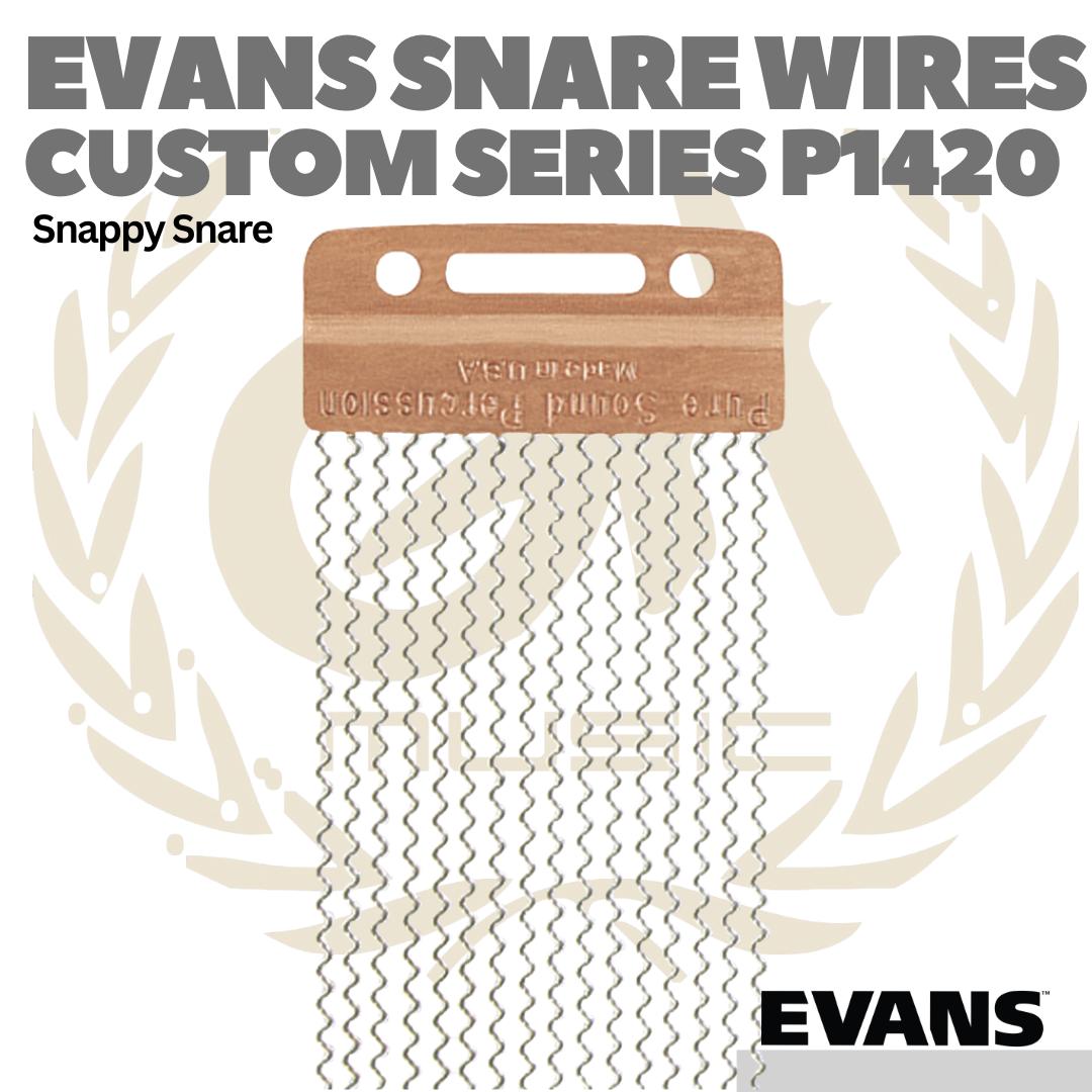 EVANS CUSTOM SERIES 20 Strand Snare Wire - Snappy Drum
