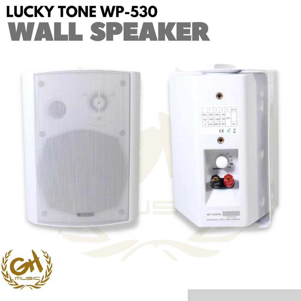 Lucky Tone WP-530 Wall Mounted Pasive Speaker 5 | Speaker gedung cafe