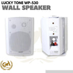 Lucky Tone WP-530 Wall Mounted Pasive Speaker 5 | Speaker gedung cafe