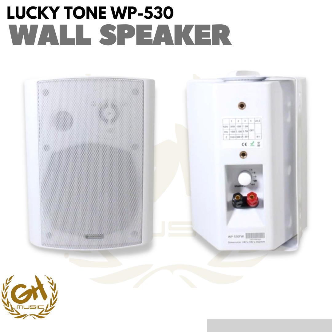 Lucky Tone WP-530 Wall Mounted Pasive Speaker 5 | Speaker gedung cafe