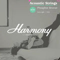 Harmony HA01 Phospor Bronze 10-47 Acoustic Guitar String Senar Akustik
