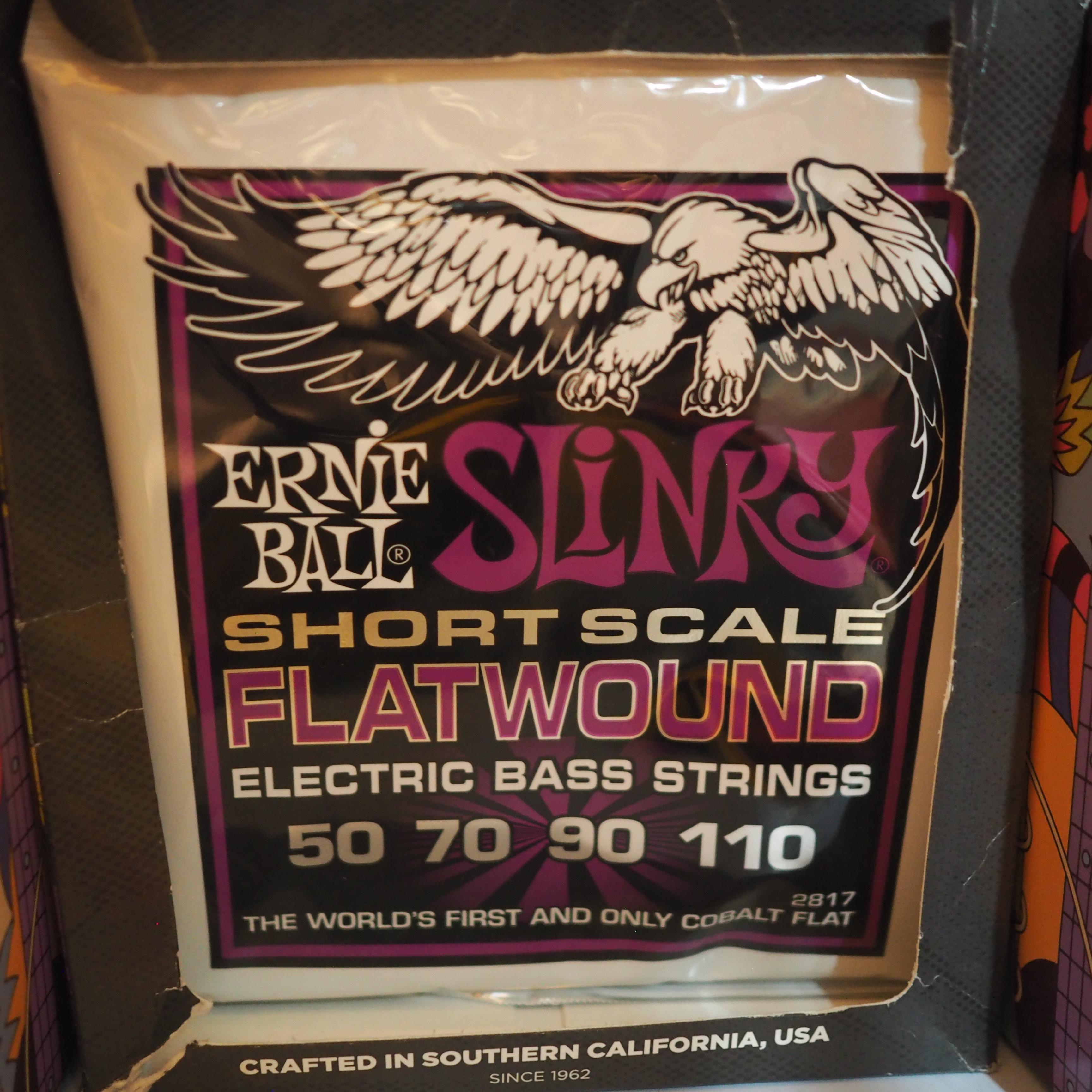 Ernie Ball 2817 Power Slinky Flatwound Short Scale Bass String 50-110