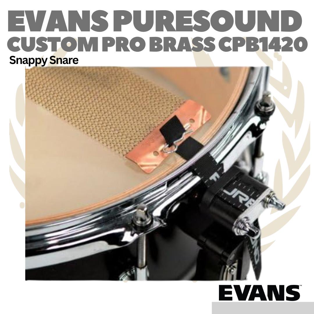EVANS CUSTOM PRO SERIES 20 Strand Brass Snare Wire - Snappy Drum