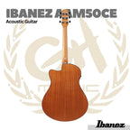 Ibanez AAM50CE Acoustic Electric Guitar - Gitar Akustik