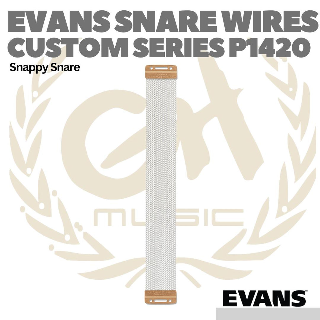 EVANS CUSTOM SERIES 20 Strand Snare Wire - Snappy Drum