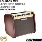 Fishman Loudbox Mini Bluetooth 60W Acoustic Guitar Amplifier UK