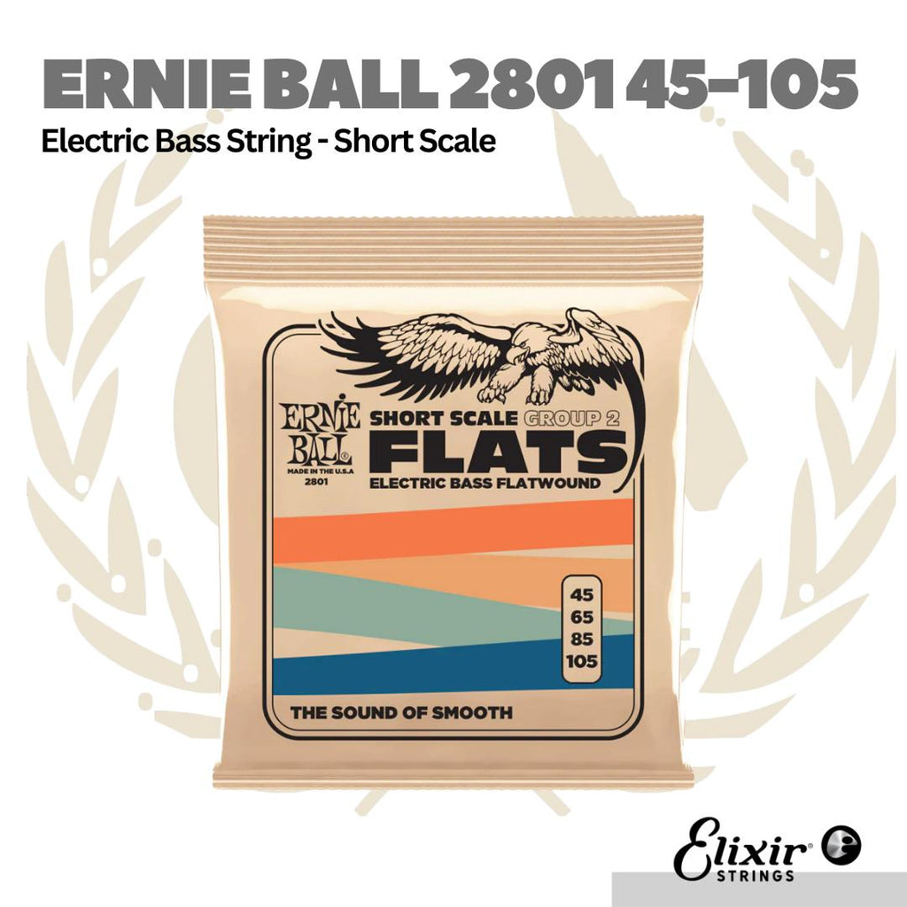 Ernie Ball 2801 45-105 Short Scale Flatwound Group 2 Electric Bass Strings
