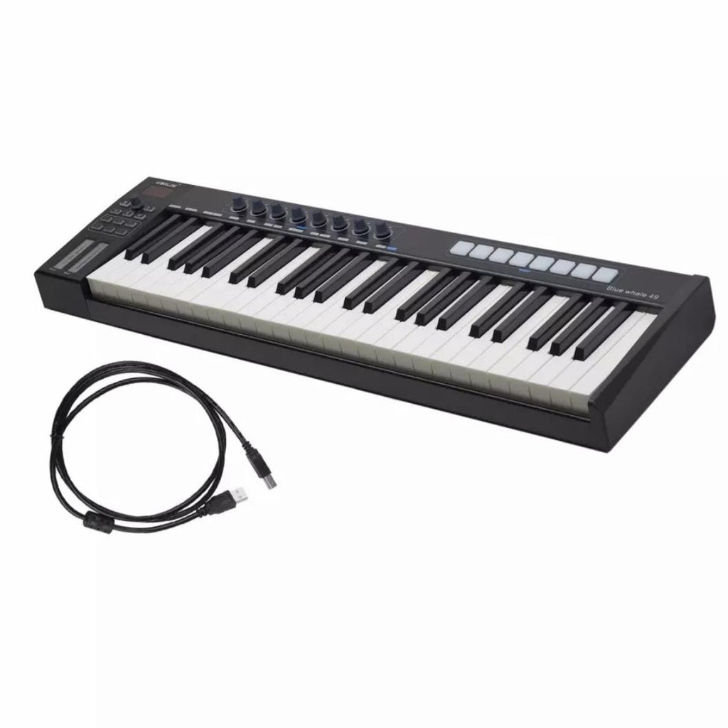 WORLDE BLUE WHALE 49 - 49 KEY PROFESIONAL MIDI CONTROLLER