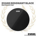 Evans Resonant Black Drum Head - Membran Drum