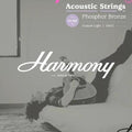 Harmony HA02 Phospor Bronze 11-52 Acoustic Guitar String Senar Akustik