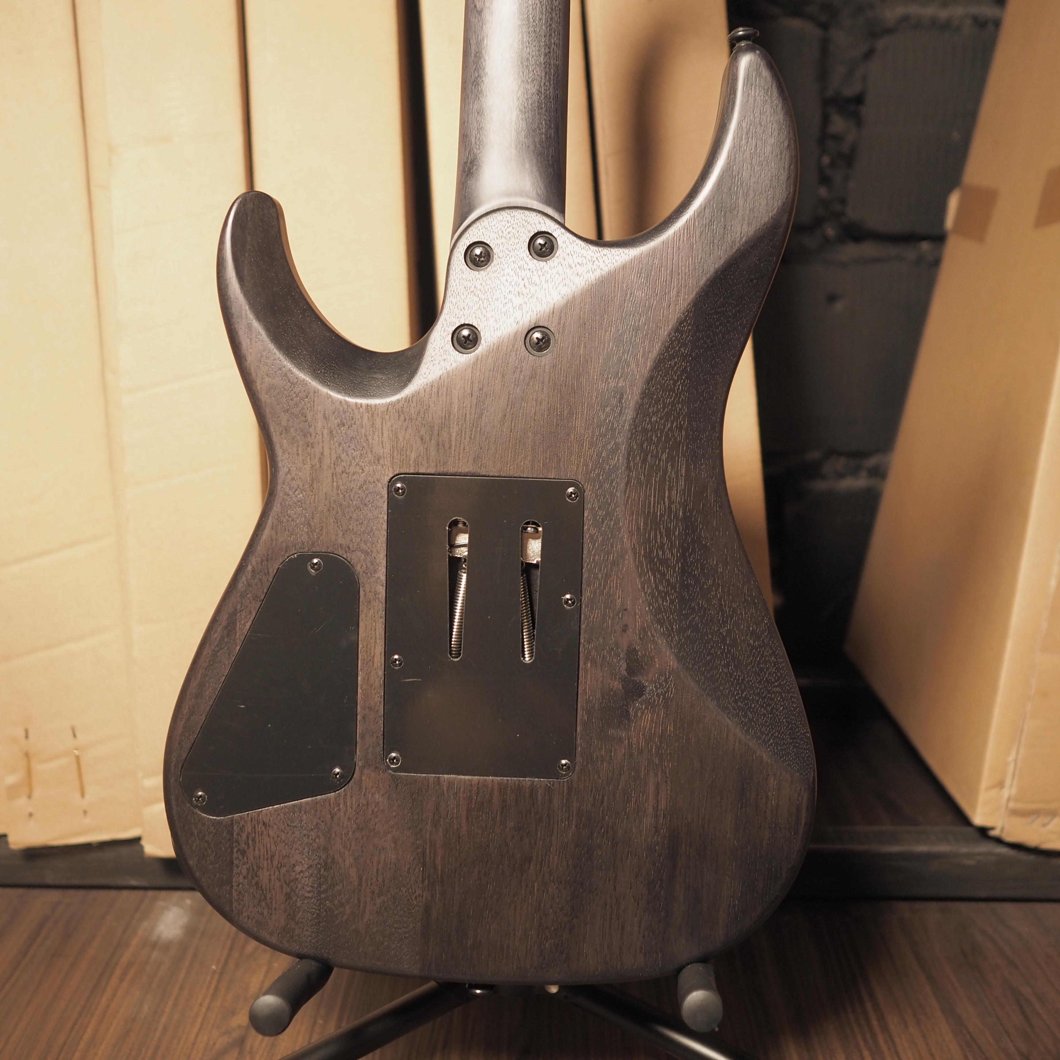 SCHECTER OMEN ELITE-6 FR Electric Guitar | Gitar Tremolo Up Down