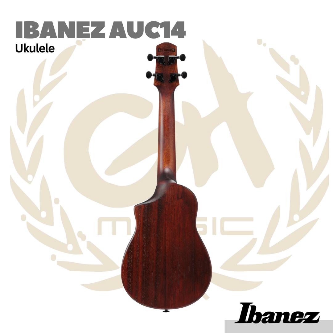 Ibanez AUC14 Ukulele w/Gig Bag - Gitar Lele