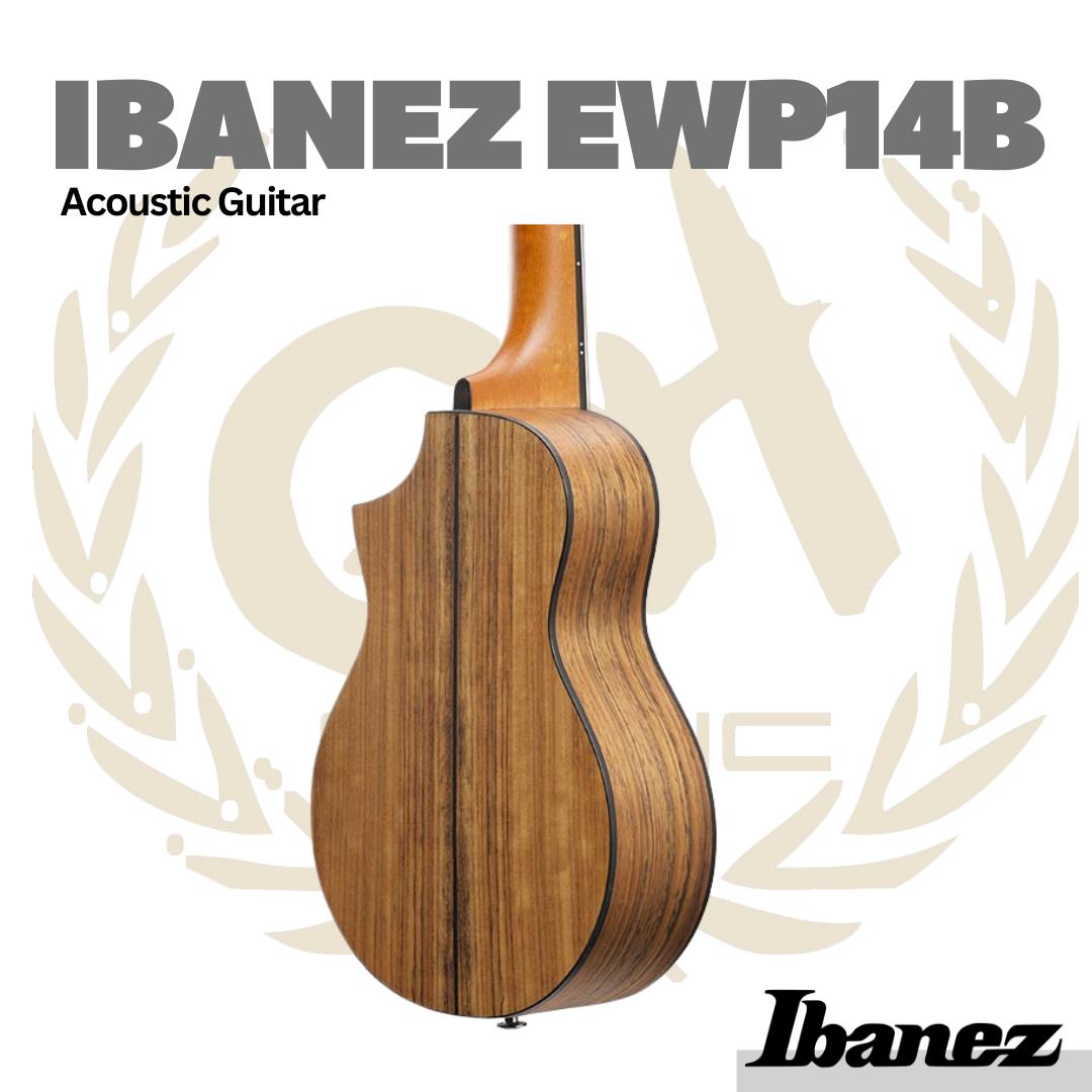 Ibanez EWP14WB Piccolo Acoustic Guitar - Gitar Akustik