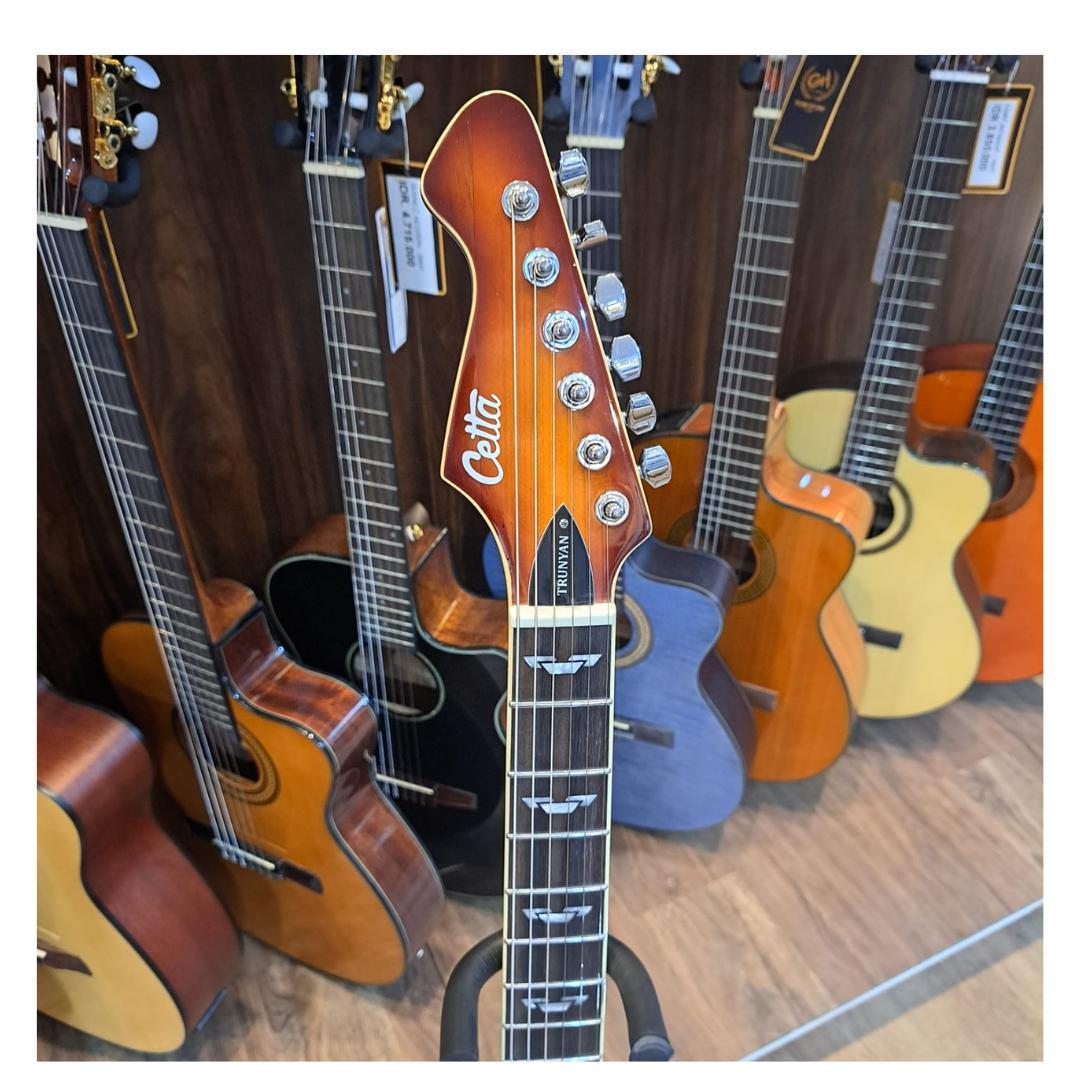 CETTA TRUNYAN SERIES SET NECK ELECTRIC GUITAR - GITAR ELEKTRIK