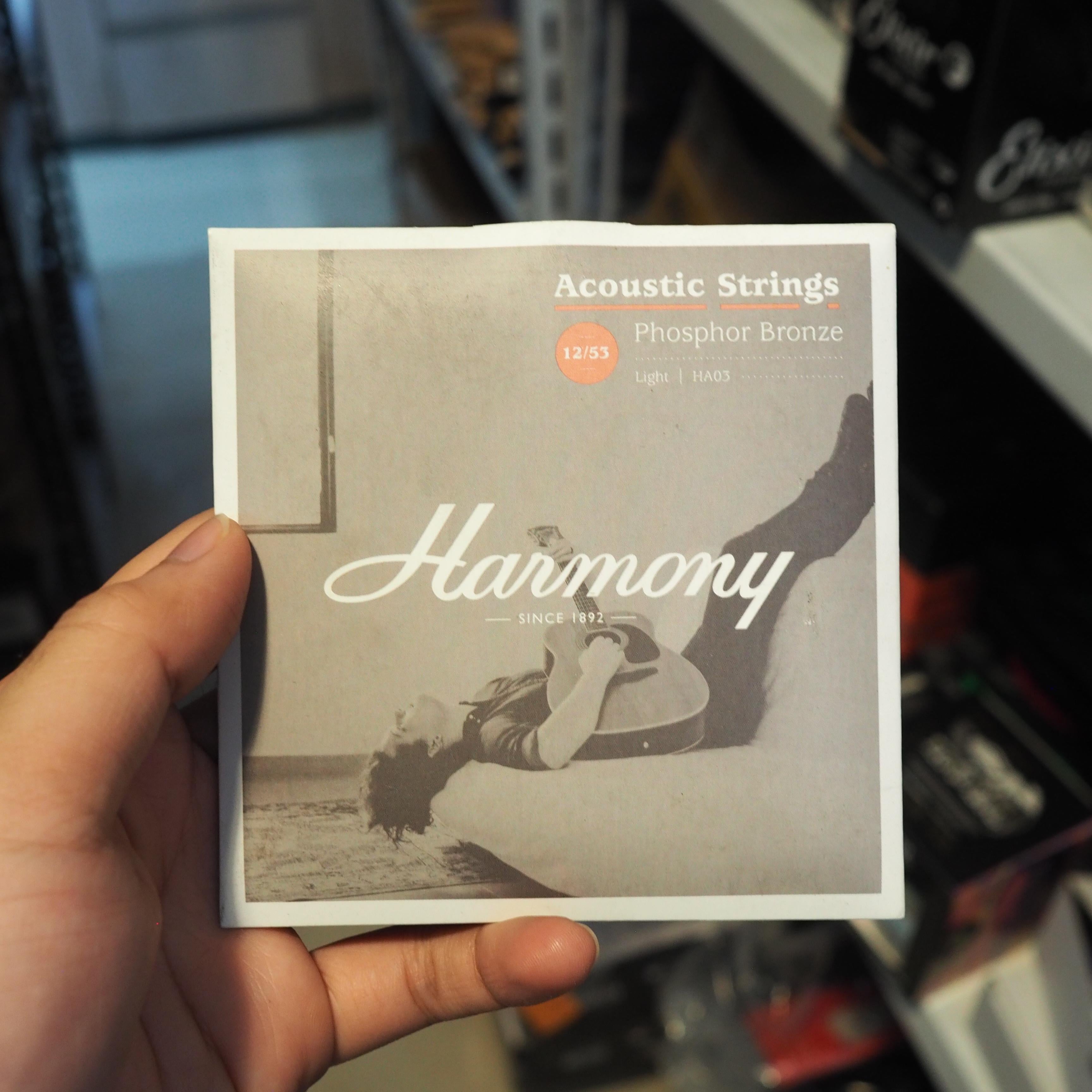 Harmony HA03 Phospor Bronze 12-53 Acoustic Guitar String Senar Akustik