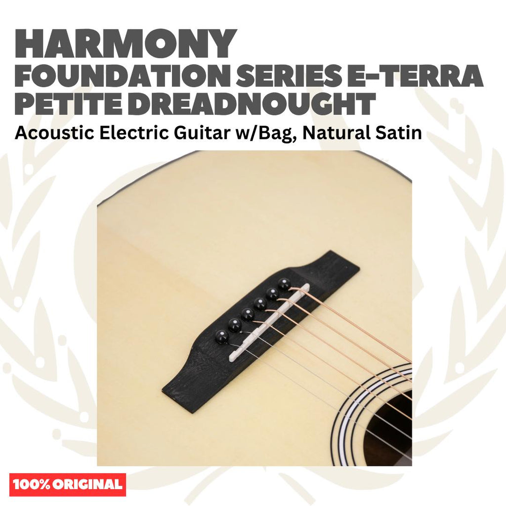Harmony Foundation Series e-Terra Petite Dreadnought Acoustic Guitar w/Bag - Gitar Akustik Elektrik dg Preamp