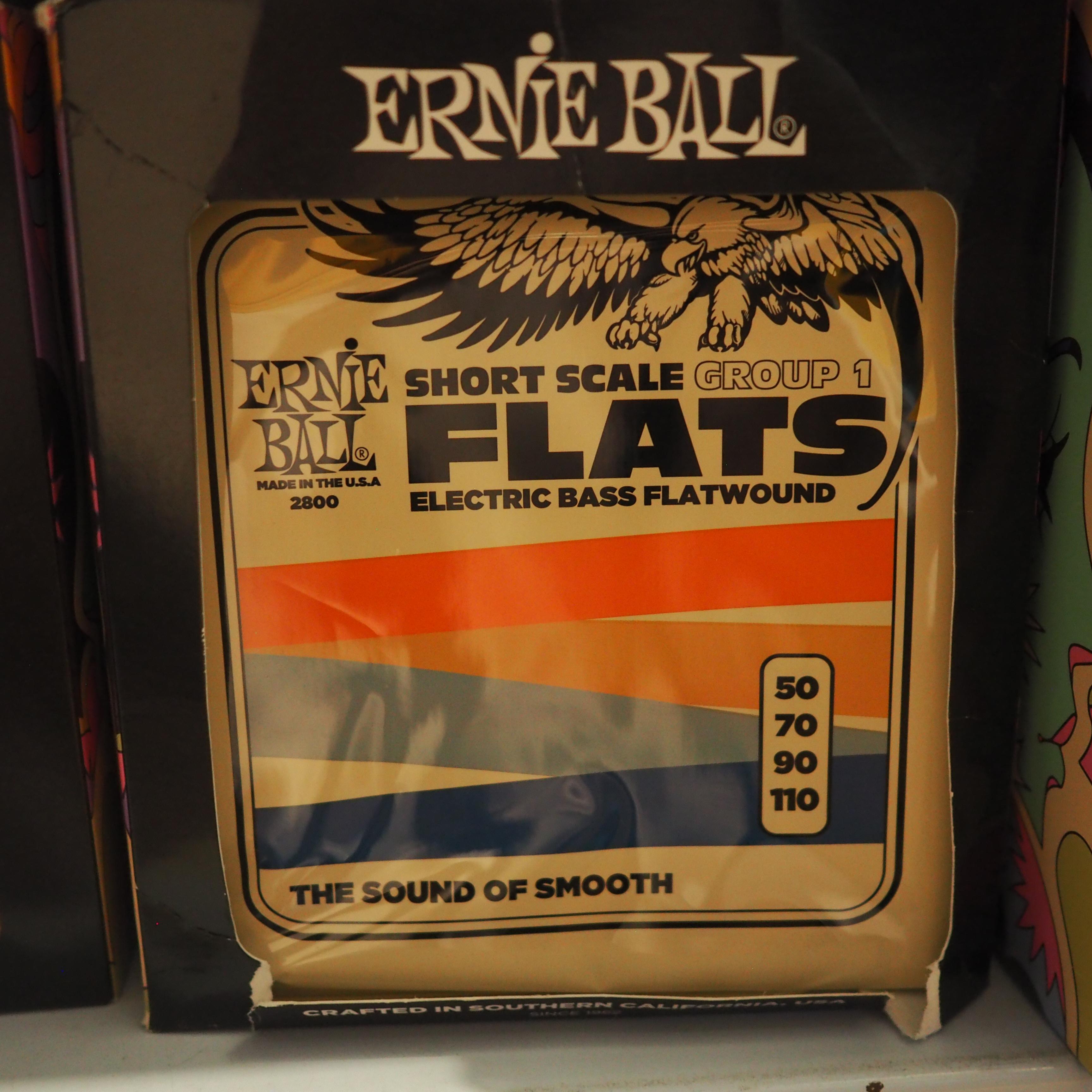 Ernie Ball 2800 50-110 Short Scale Flatwound Group 1 Electric Bass Strings