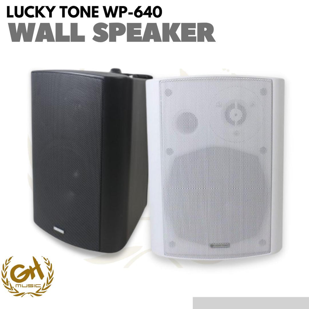 Lucky Tone WP-640 Wall Mounted Pasive Speaker 6 | Speaker cafe meeting