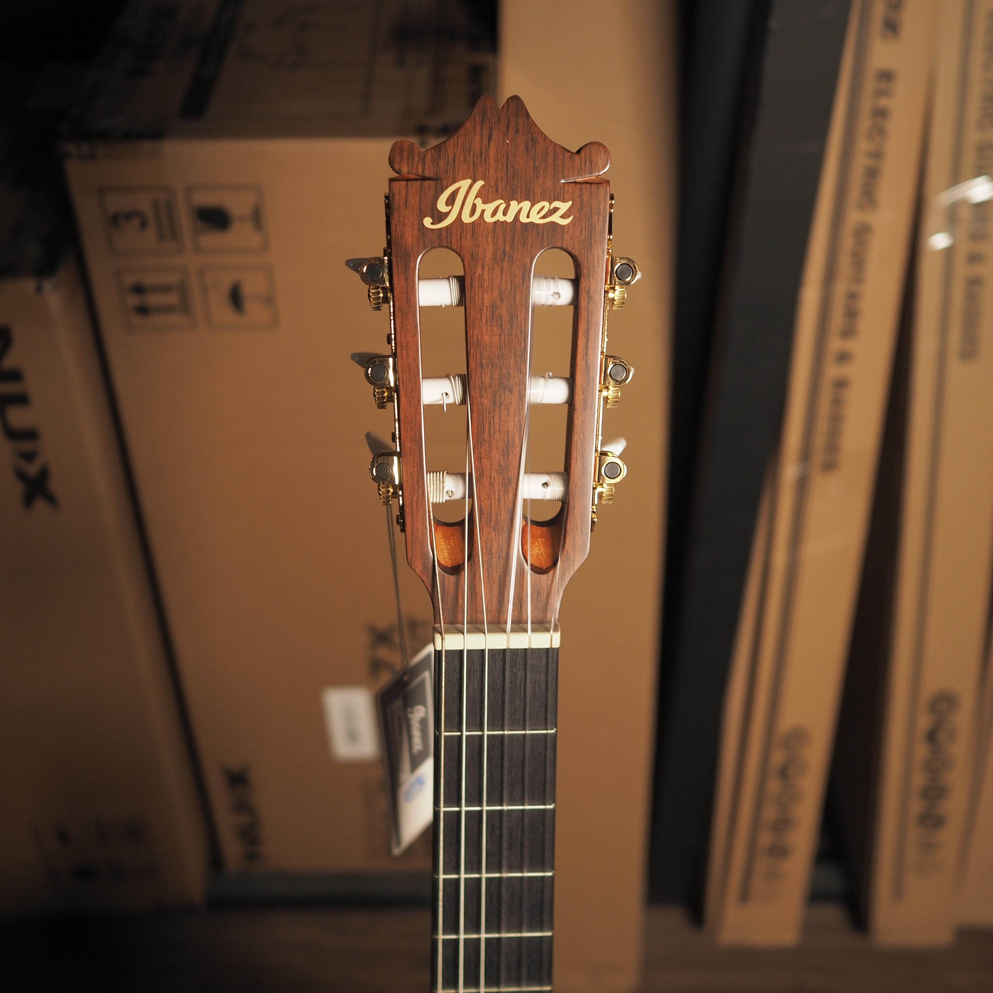 Ibanez GA5MHTCE Acoustic-Electric Guitar - Gitar Akustik